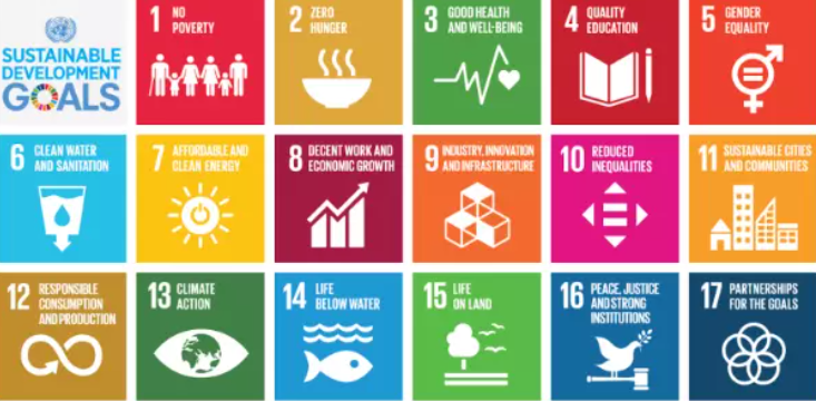 The Sustainable development goals